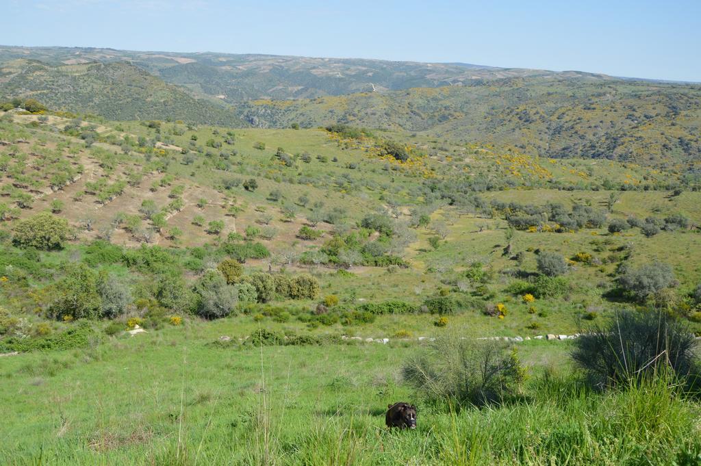 Casa Rural El Meson Фермоселье Экстерьер фото